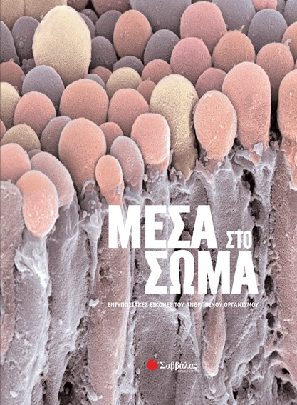 ΜΕΣΑ ΣΤΟ ΣΩΜΑ
