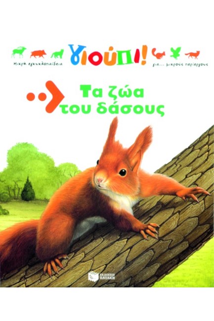 ΤΑ ΖΩΑ ΤΟΥ ΔΑΣΟΥΣ