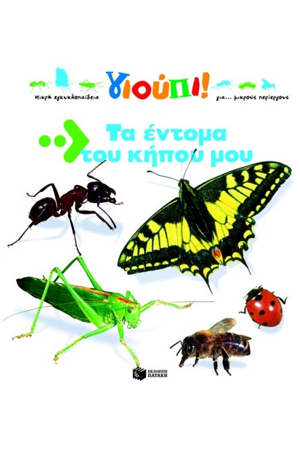 ΤΑ ΕΝΤΟΜΑ ΤΟΥ ΚΗΠΟΥ ΜΟΥ
