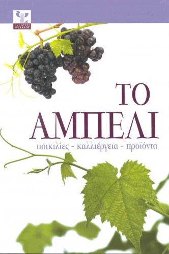 ΤΟ ΑΜΠΕΛΙ