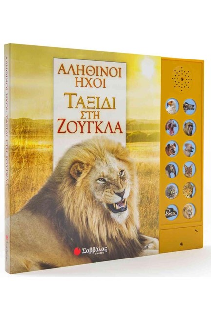 ΑΛΗΘΙΝΟΙ ΗΧΟΙ-ΤΑΞΙΔΙ ΣΤΗ ΖΟΥΓΚΛΑ
