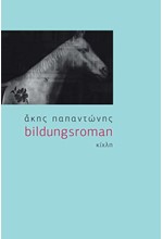BILDUNGSROMAN