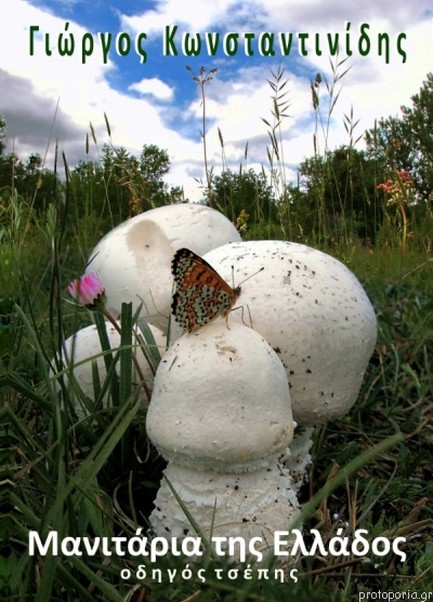 ΜΑΝΙΤΑΡΙΑ ΤΗΣ ΕΛΛΑΔΟΣ: ΟΔΗΓΟΣ ΤΣΕΠΗΣ (2η ΕΚΔΟΣΗ)