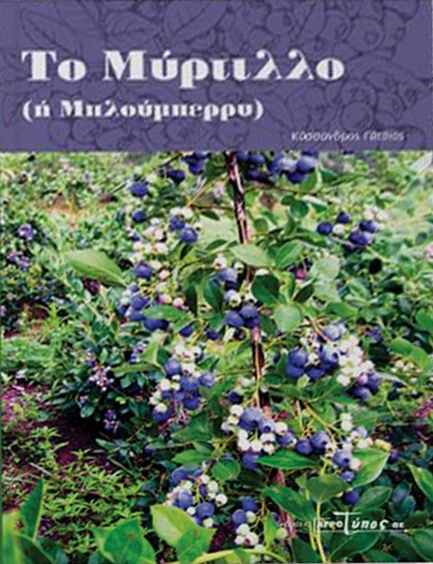 ΤΟ ΜΥΡΤΙΛΛΟ (Η ΜΠΛΟΥΜΠΕΡΡΥ, BLUEBERRY)