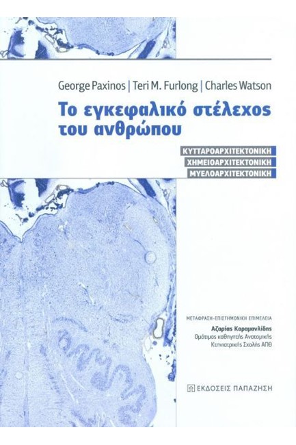 ΤΟ ΕΓΚΕΦΑΛΙΚΟ ΣΤΕΛΕΧΟΣ ΤΟΥ ΑΝΘΡΩΠΟΥ