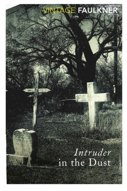INTRUDER IN THE DUST PB