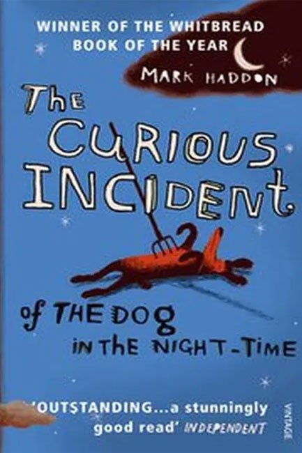THE CURIOUS INCIDENT OF THE DOG IN THE NIGHT-TIME PB