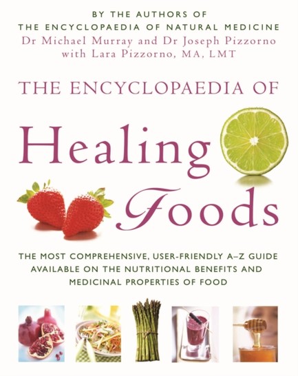THE ENCYCLOPAEDIA OF HEALING FOODS PB