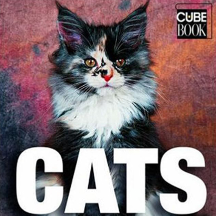 CATS-MINI CUBE HB
