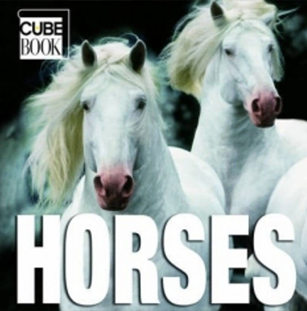 HORSES-MINI CUBE HB