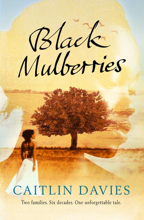 BLACK MULBERRIES PB