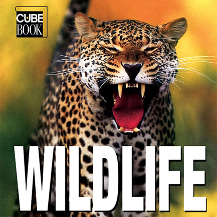 WILDLIFE-MINI CUBE HB
