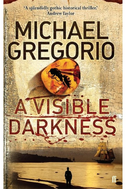 A VISIBLE DARKNESS PB