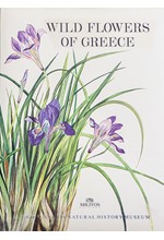 WΙLD FLΟWΕRS ΟF GRΕΕCΕ ΗΒ