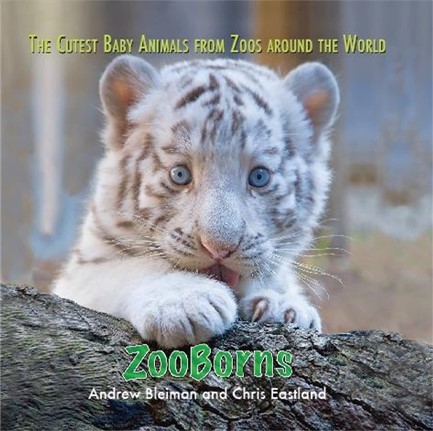 ZOOBORNS HB