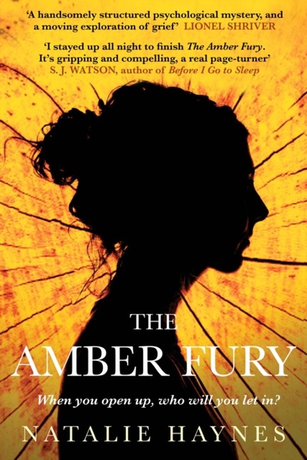 THE AMBER FURY TPB