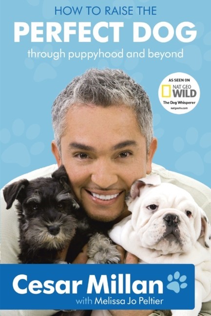 HOW TO RAISE THE PERFECT DOG PB