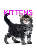 KITTENS-CUBE BOOK HB