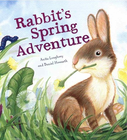 RABBIT'S SPRING ADVENTURE PB