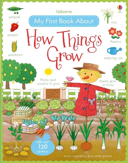 MY FIRST BOOK ABOUT HOW THINGS GROW