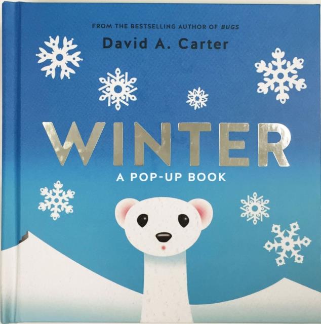 WINTER A POP UP BOOK