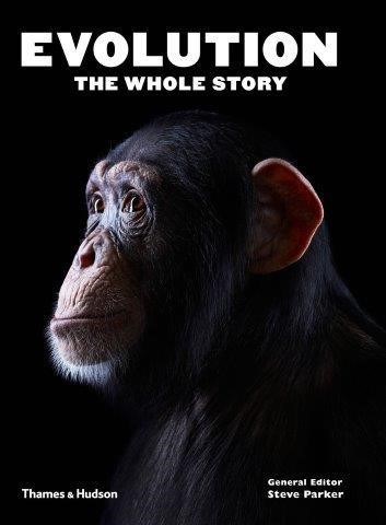 EVOLUTION THE WHOLE STORY FX
