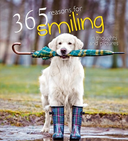 365 REASONS FOR SMILING