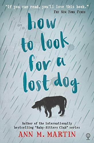 HOW TO LOOK FOR A LOST DOG PB