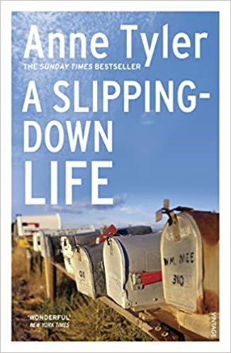 A SLIPPING DOWN LIFE PB