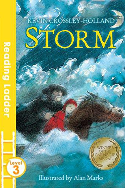 READING LADDER L3-STORM