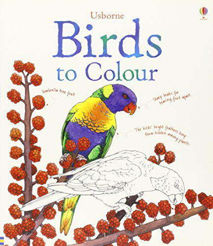 BIRDS TO COLOUR
