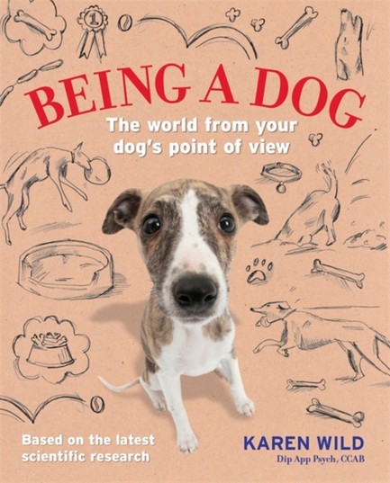 BEING A DOG-THE WORLD FROM YOUR DOG'S POINT OF VIEW