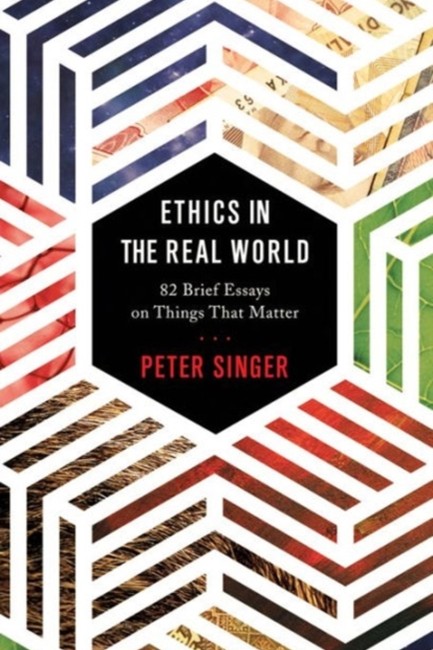 ETHICS IN THE REAL WORLD : 82 BRIEF ESSAYS ON THINGS THAT MATTER