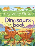 MY VERY FIRST DINOSAURS BOOK