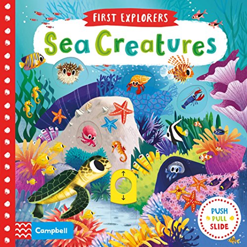 FIRST EXPLORERS-SEA CREATURES ΒΒ