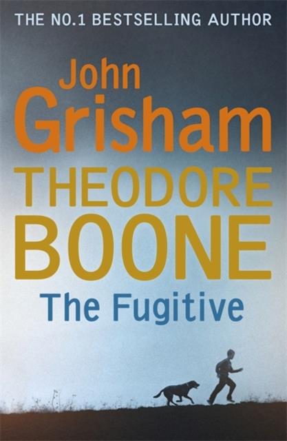 THEODORE BOONE THE FUGITIVE PB
