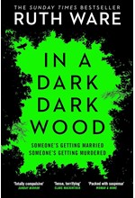 IN A DARK DARK WOOD PB