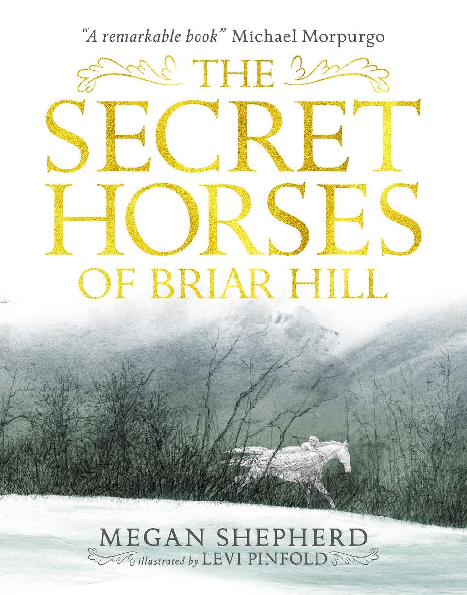 THE SECRET HORSES OF BRIAR HILL PB