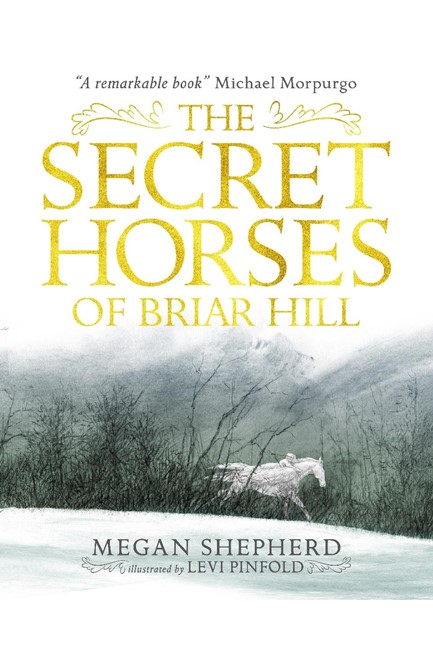 THE SECRET HORSES OF BRIAR HILL PB