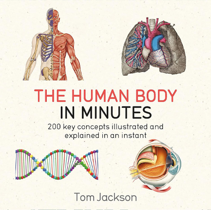 THE HUMAN BODY IN MINUTES PB