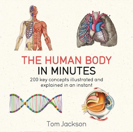 THE HUMAN BODY IN MINUTES PB