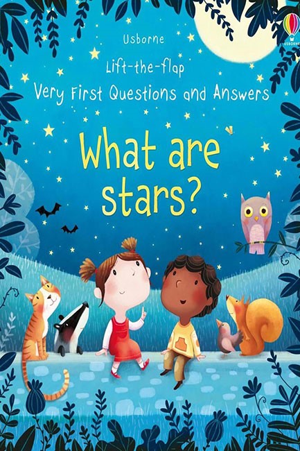 LIFT THE FLAP VERY FIRST QUESTIONS AND ANSWERS WHAT ARE STARS?