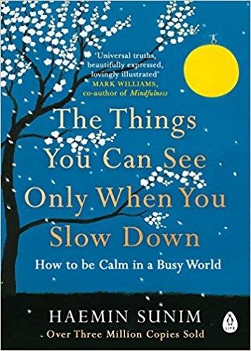 THE THINGS YOU CAN SEE ONLY WHEN YOU SLOW DOWN : HOW TO BE CALM IN A BUSY WORLD