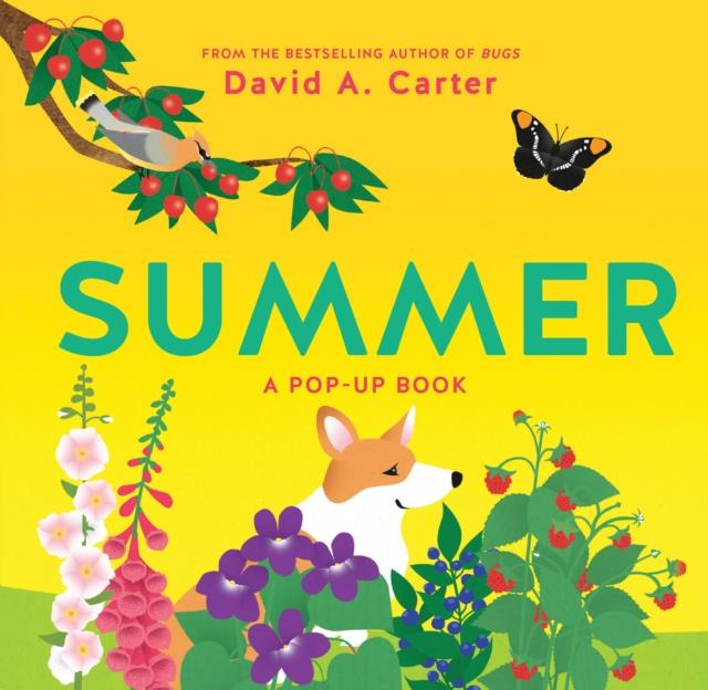 SUMMER  A POP UP BOOK