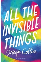 ALL THE INVISIBLE THINGS