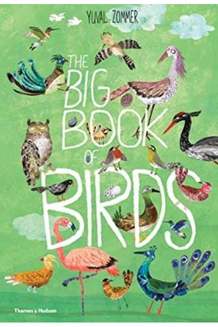 THE BIG BOOK OF BIRDS HB