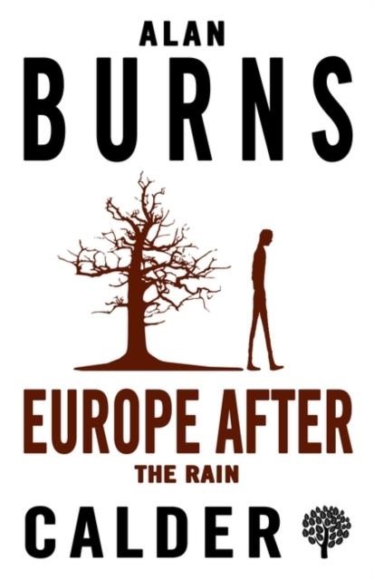 EUROPE AFTER THE RAIN