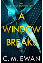 A WINDOW BREAKS