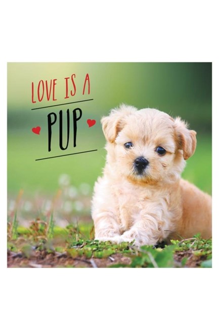 LOVE IS A PUP