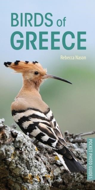 BIRDS OF GREECE